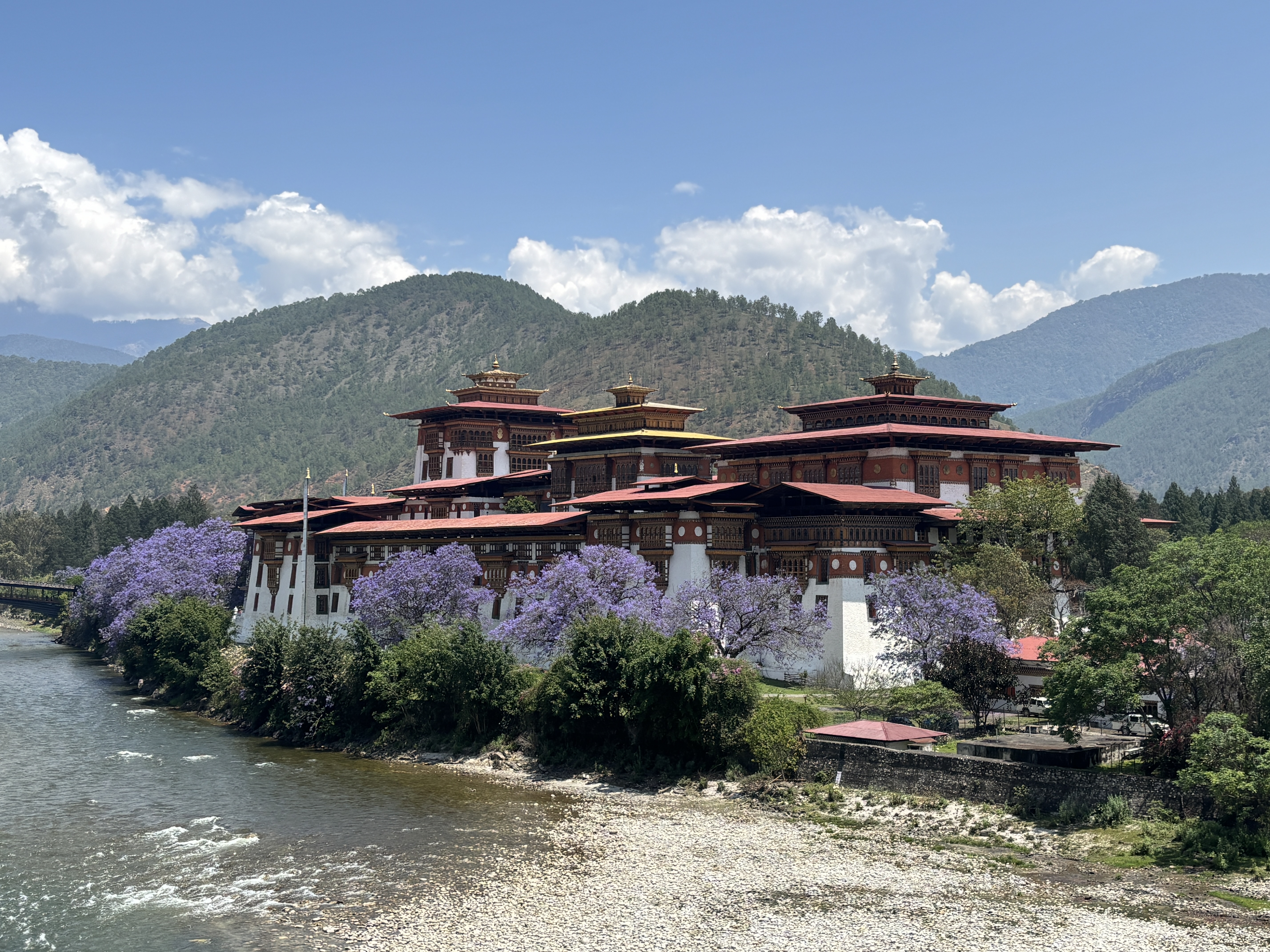 Punakha Dzong, the amazing views