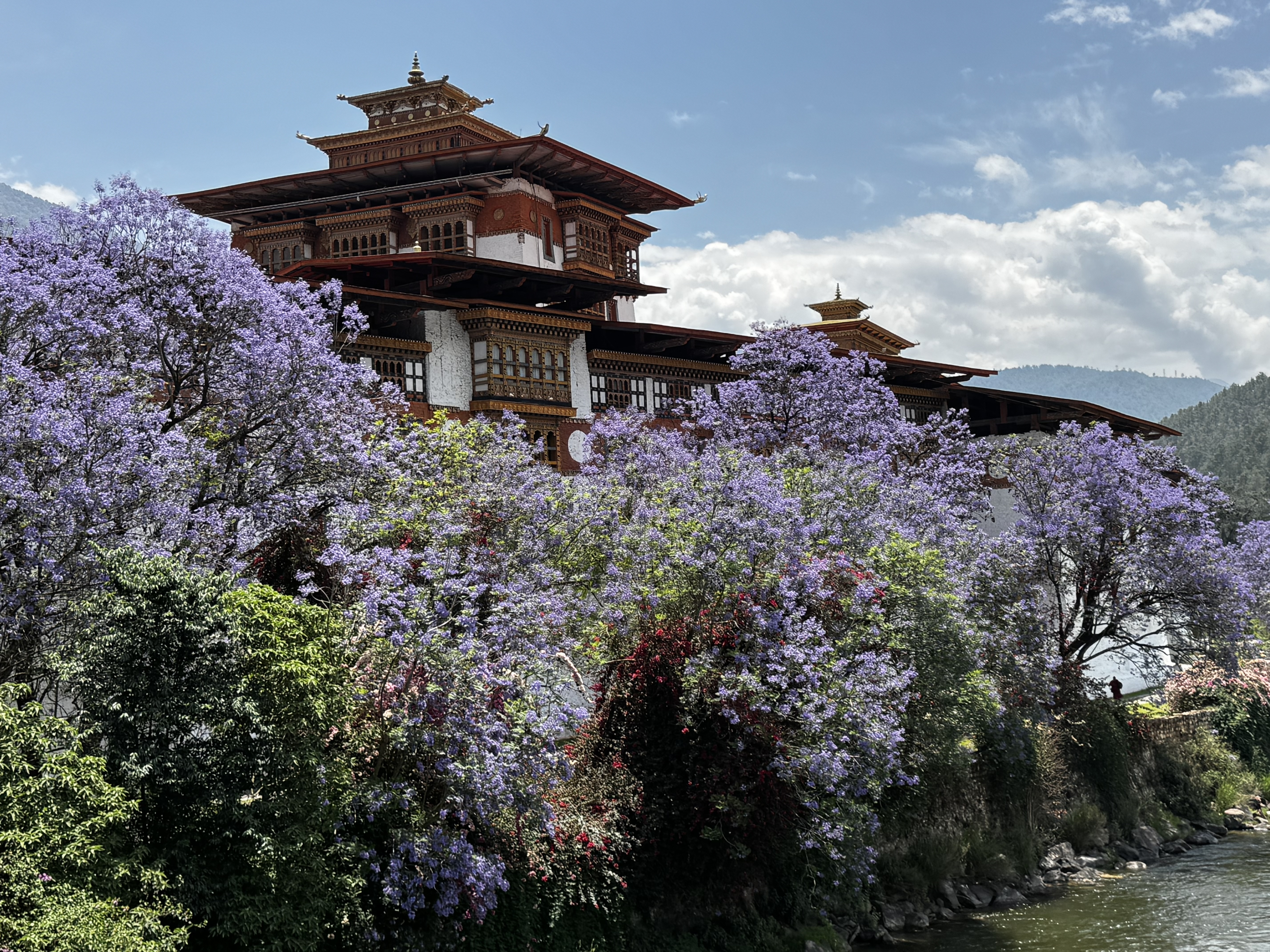 Dzong in the backdrop of lavender trees