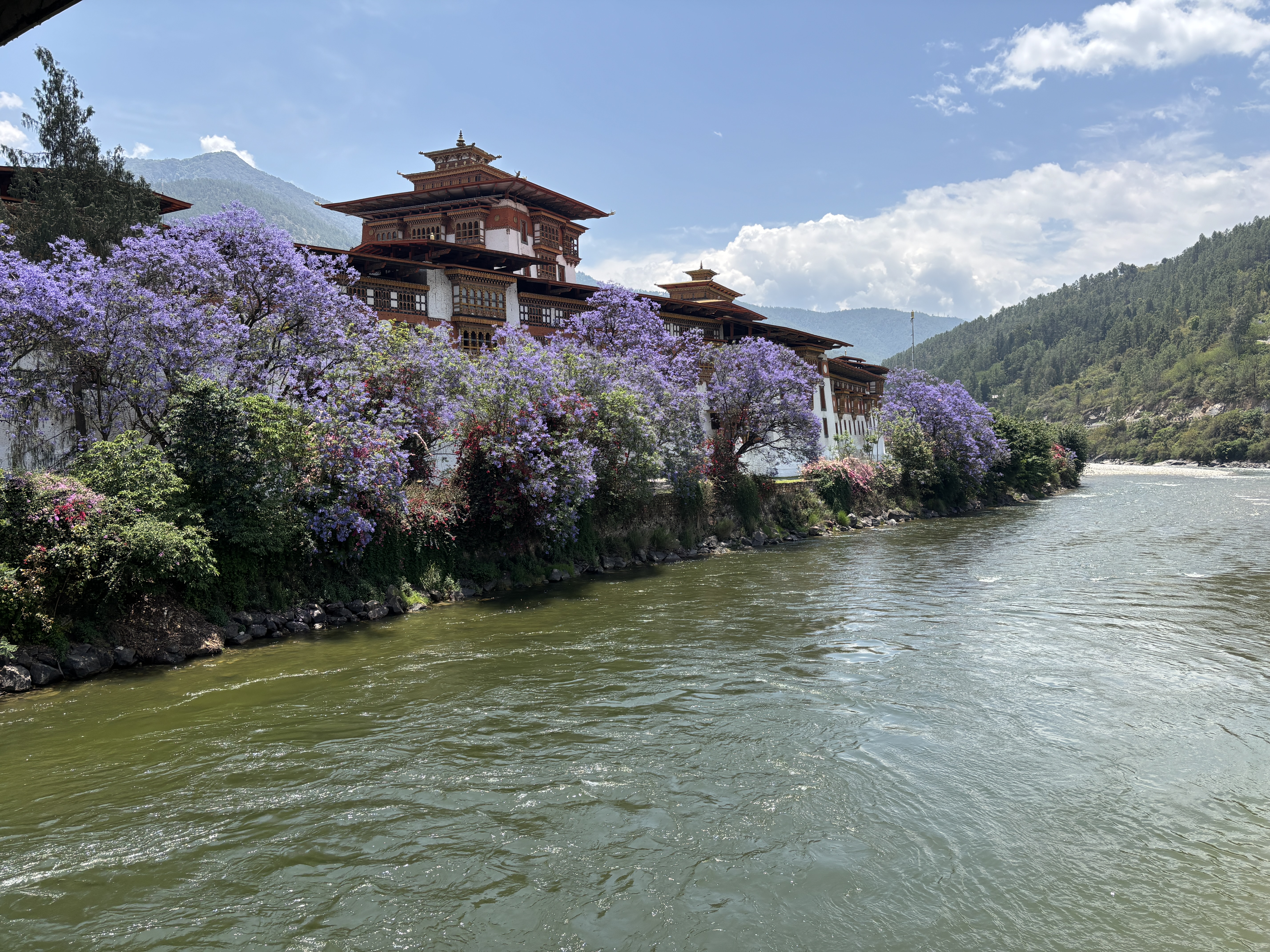 Beautiful view of Punakha Dzong