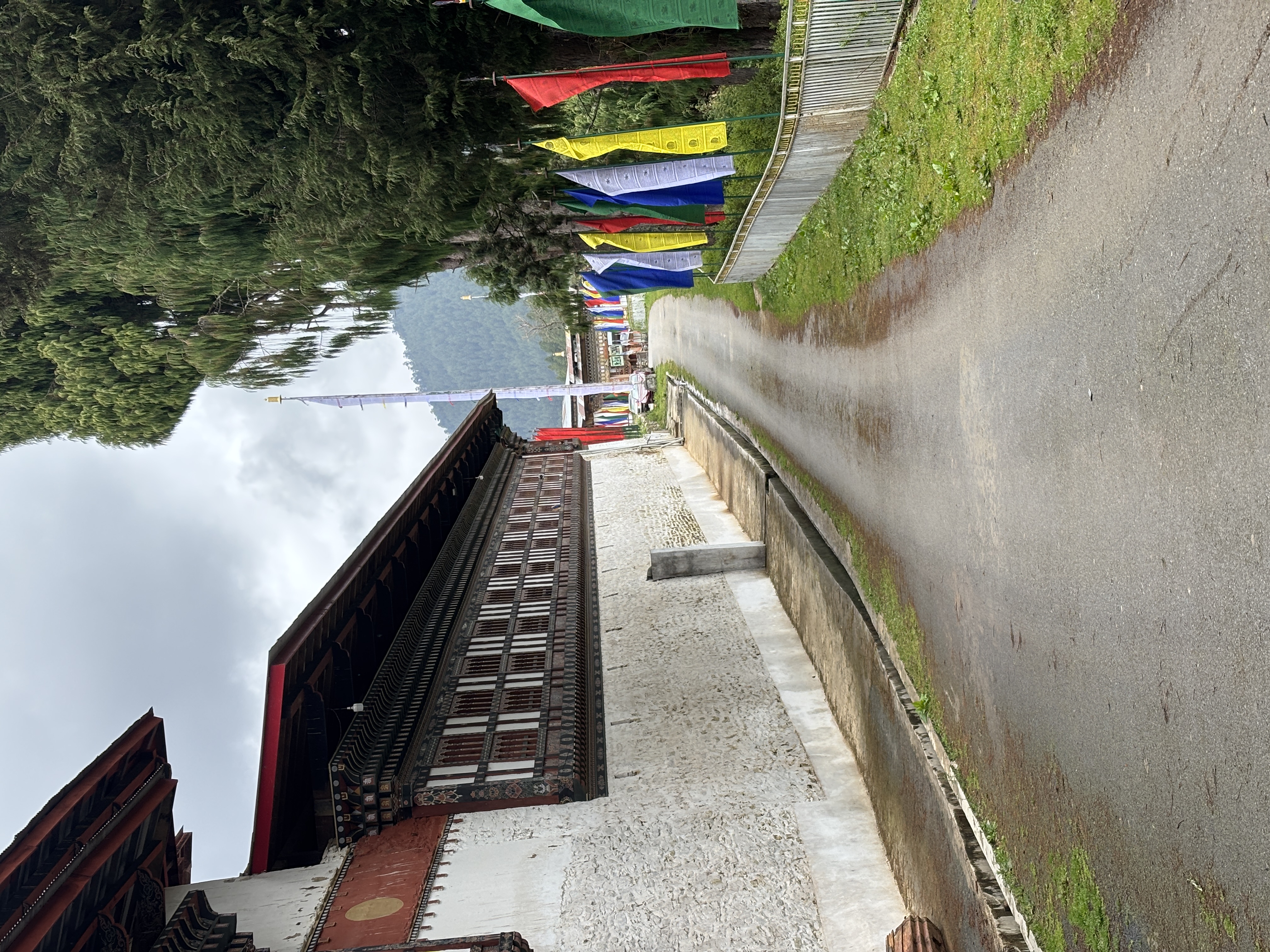 The final road up to Gangtey monastery — showing vibrant colors