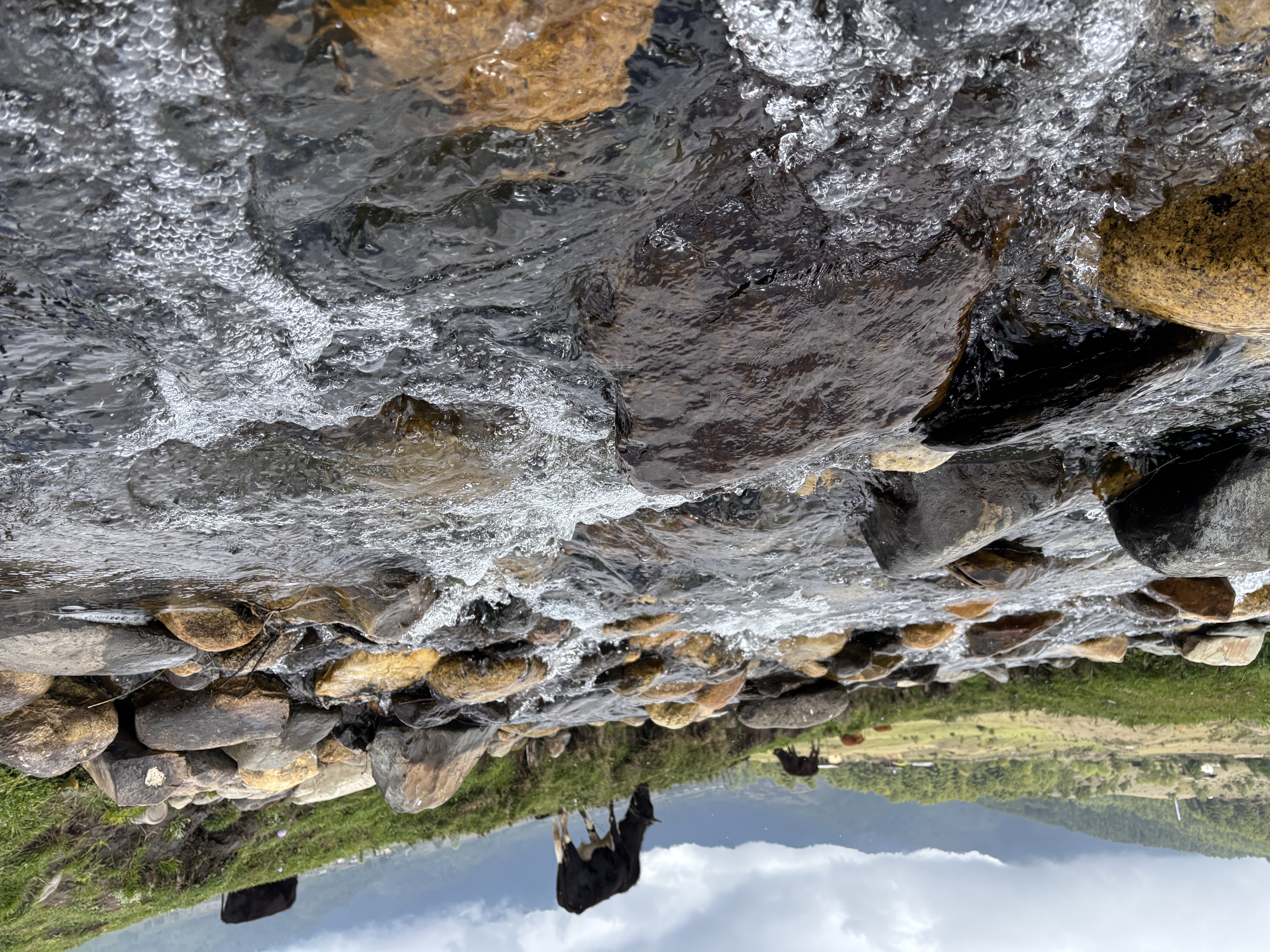 The little river threading through Phobjikha