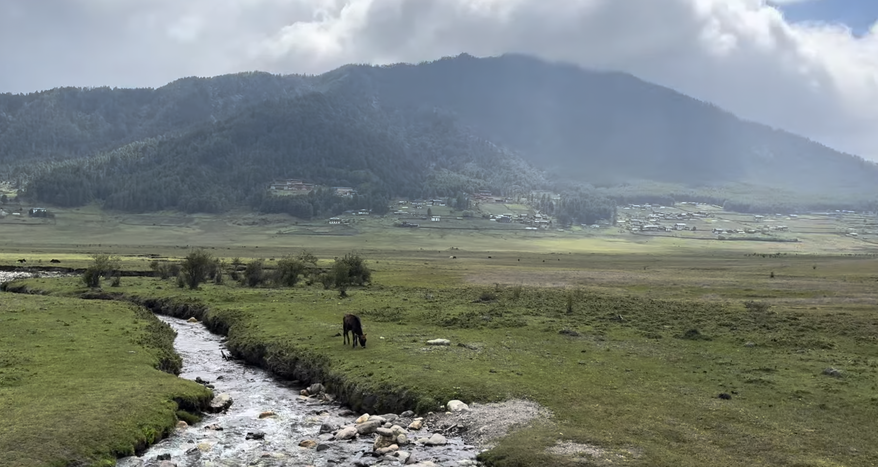 Phobjikha valley pastures till the horizon