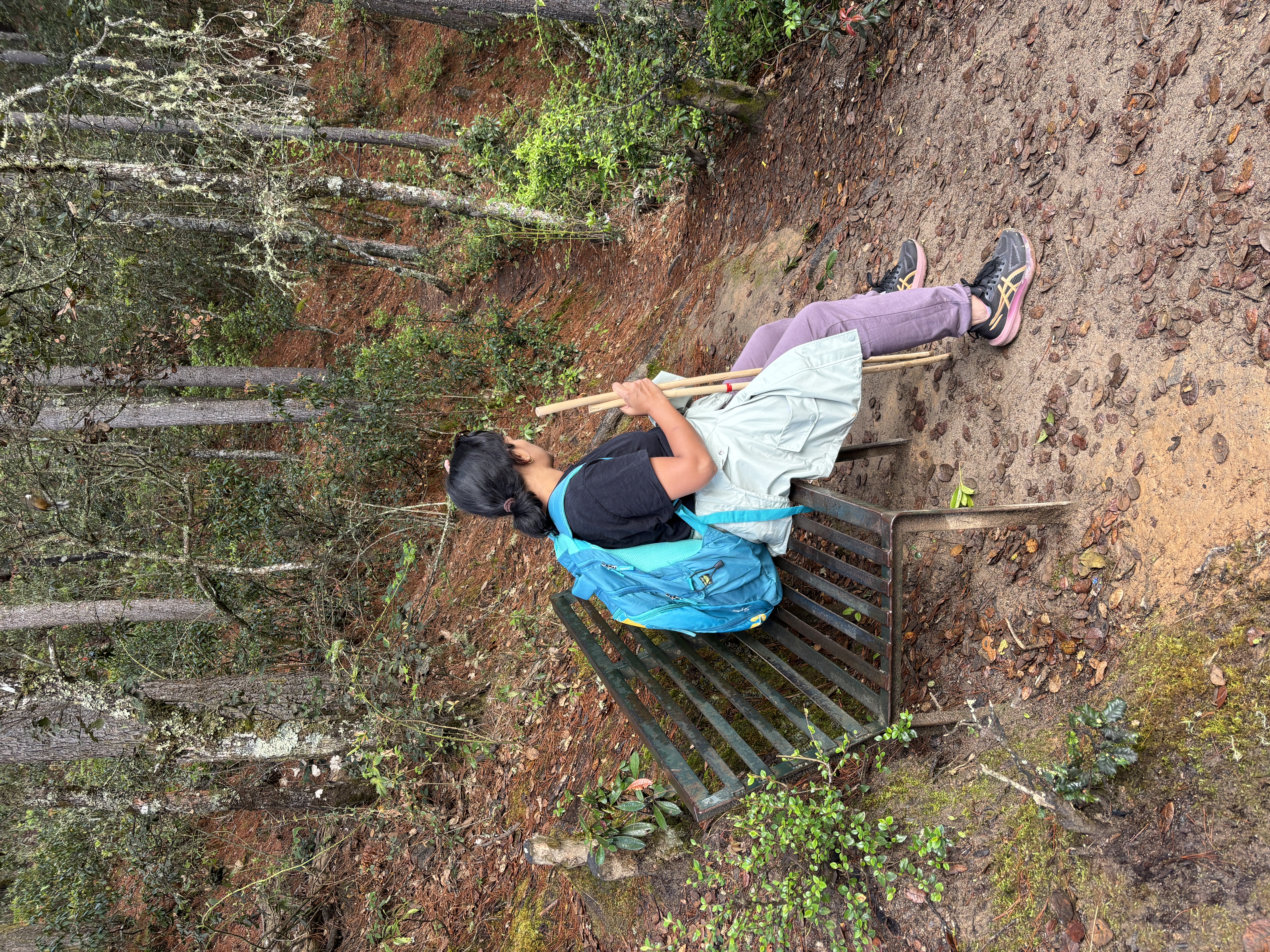 A well-earned break midway up the trail