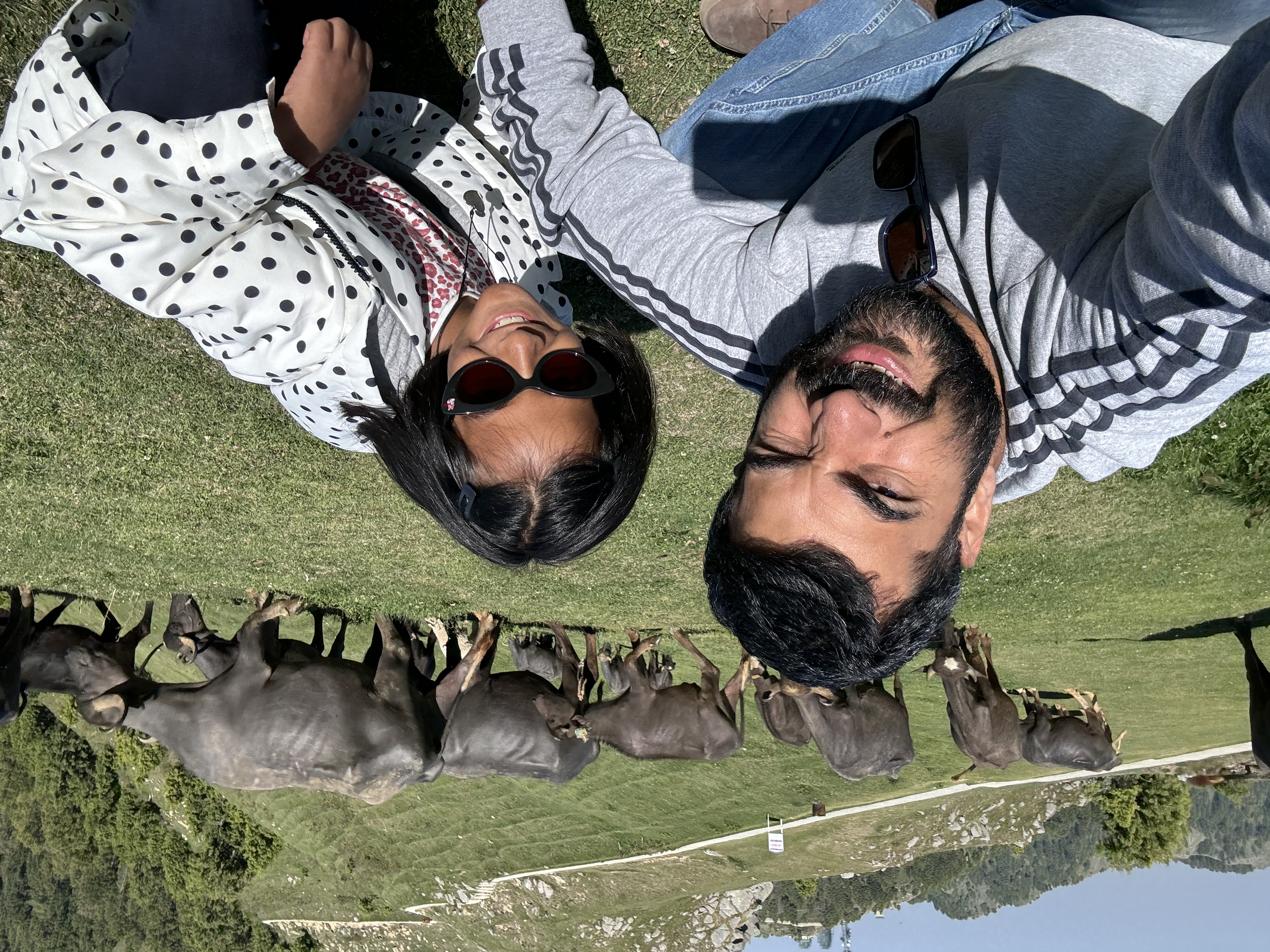 Flanked by a herd of Buffalos during the trek