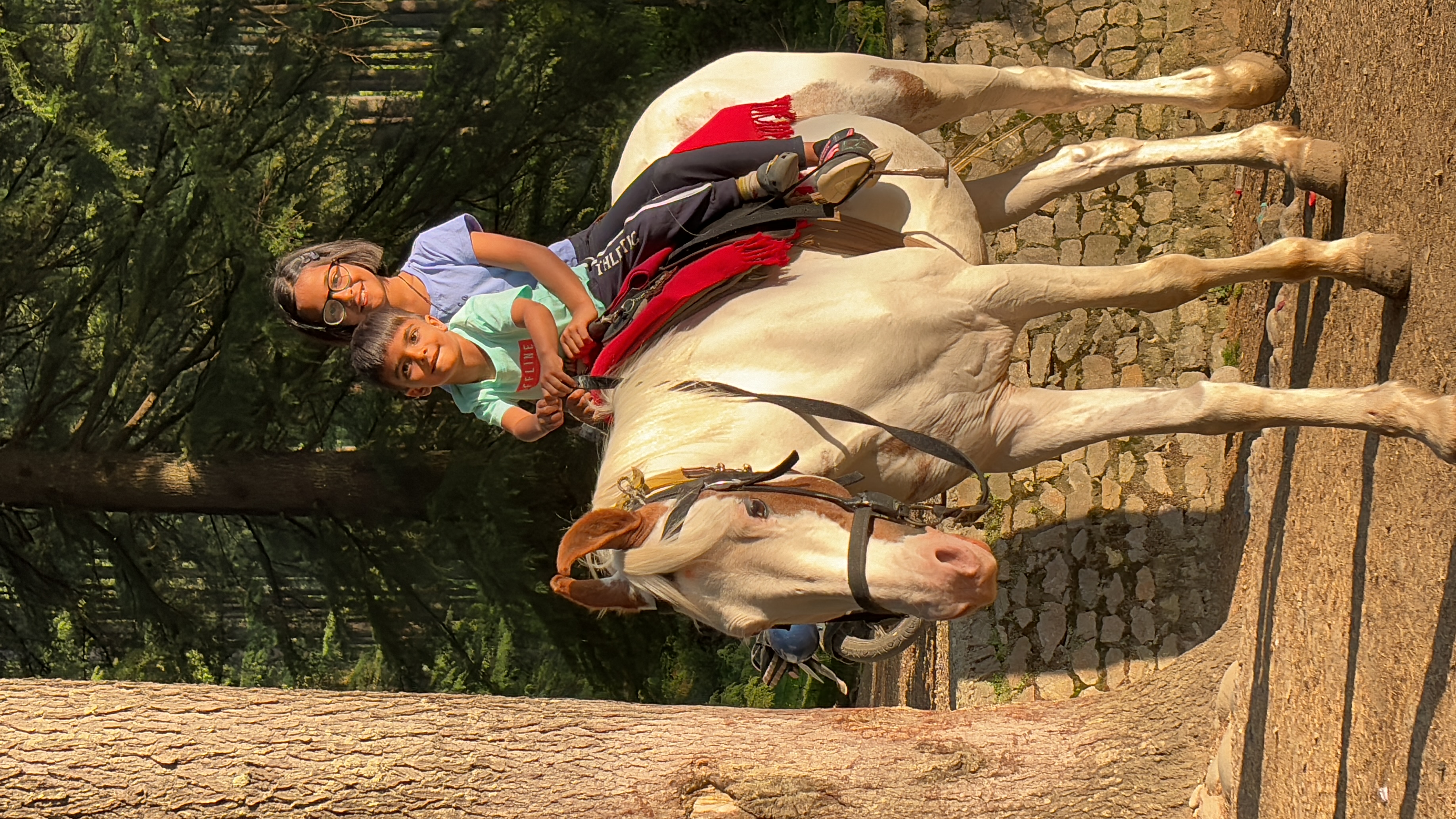 Horse ride in Khajjiar open space