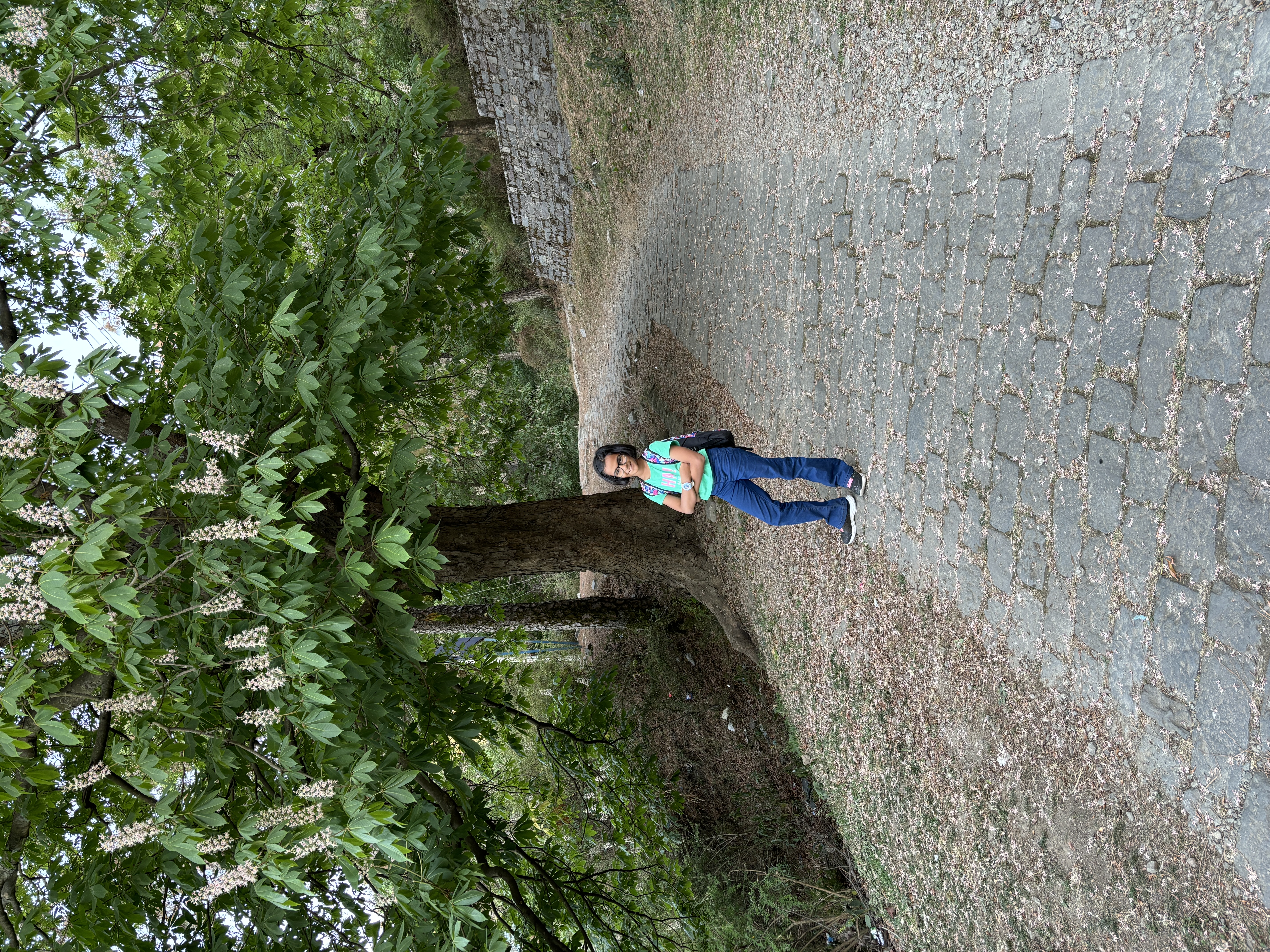 Trekking to the market in Kasauli
