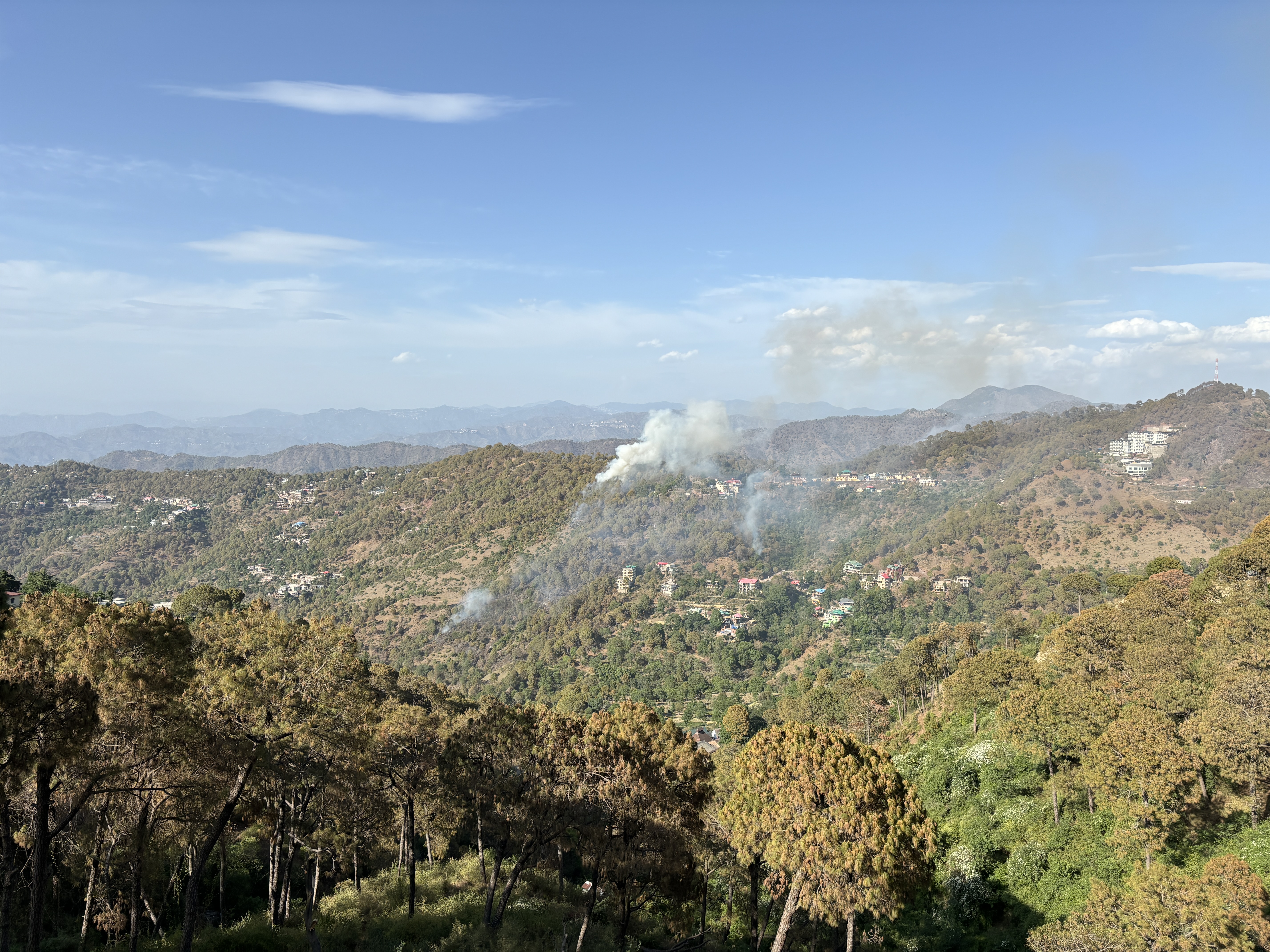 Glimpse of ongoing wildfire in Kasauli on the day we reached