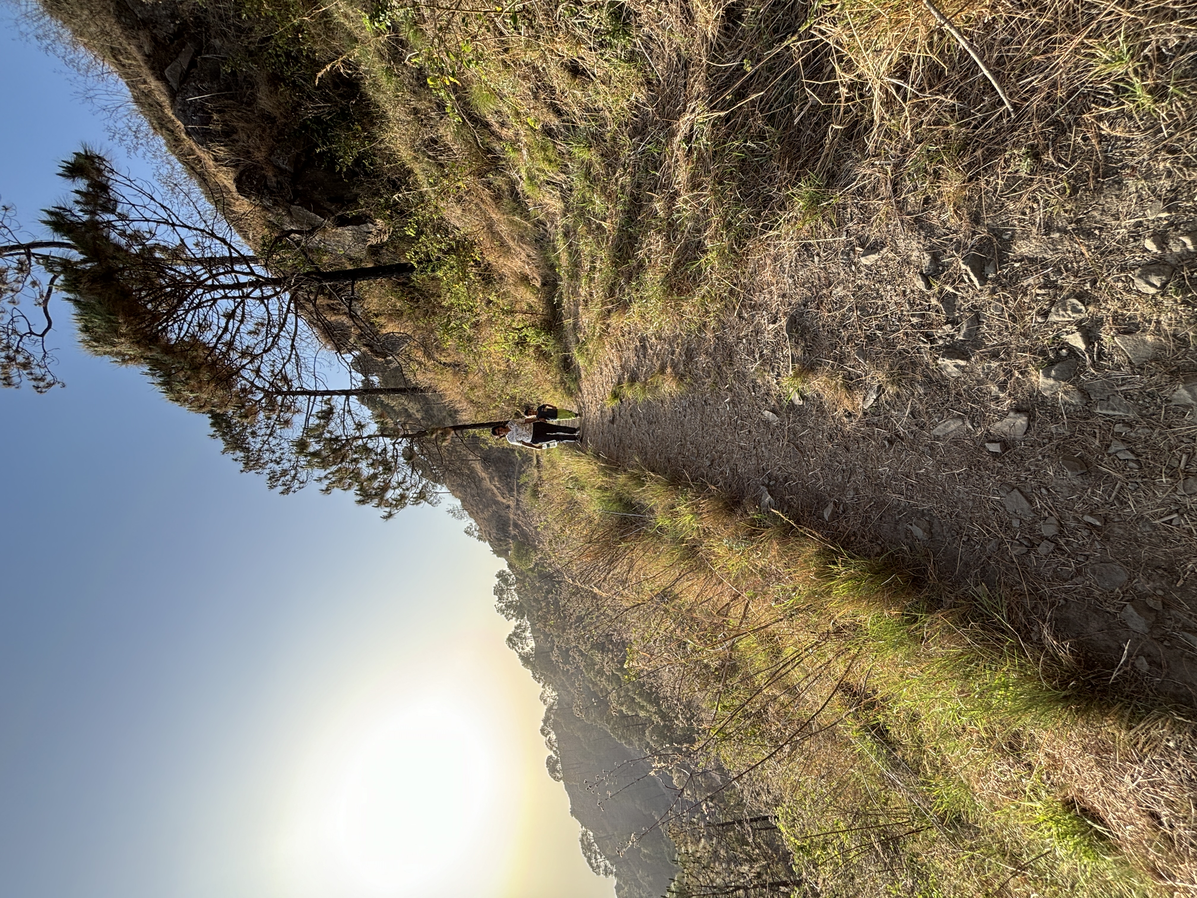 Gilbert trail trek
