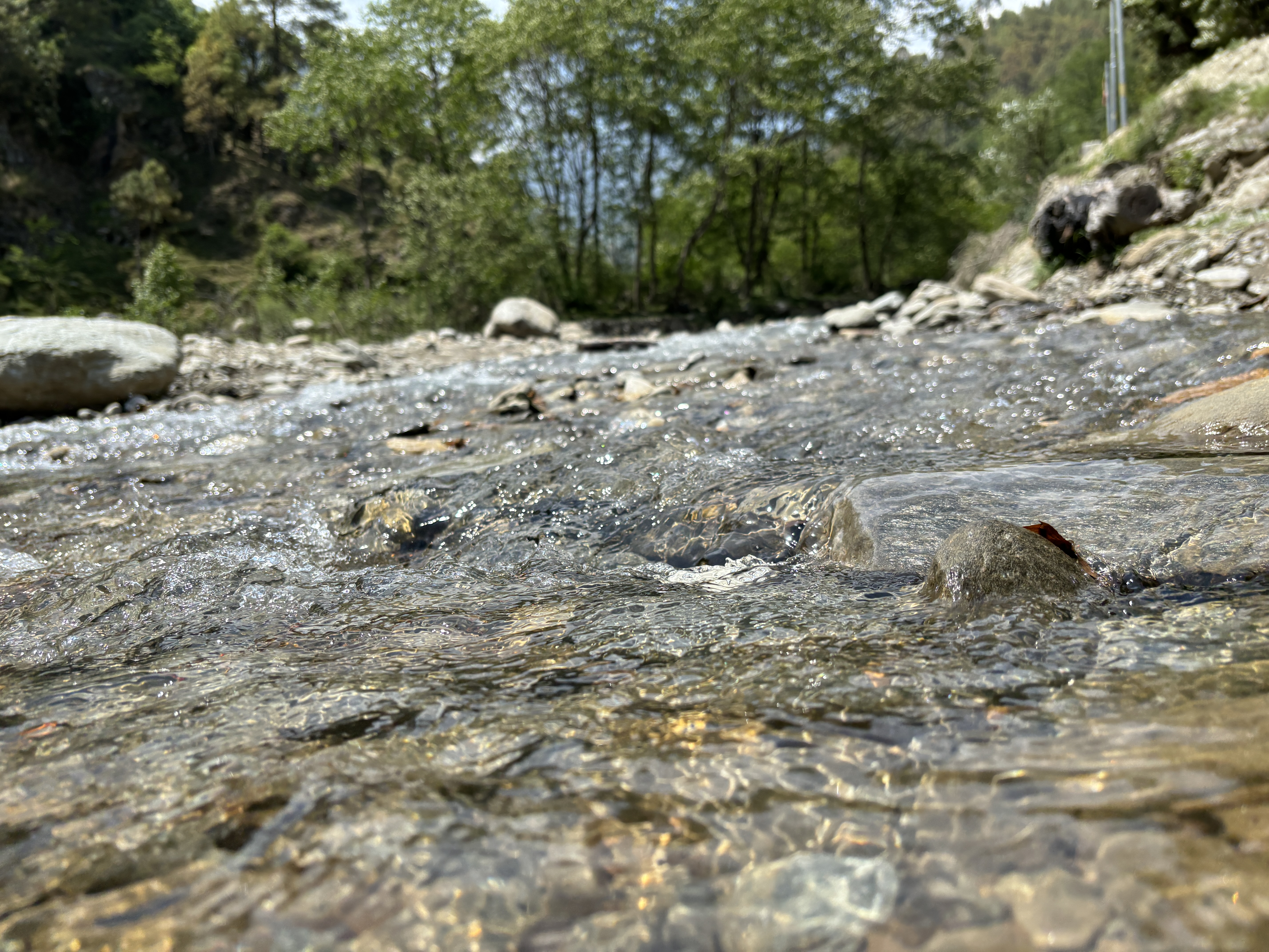 More close up views of Sutlej