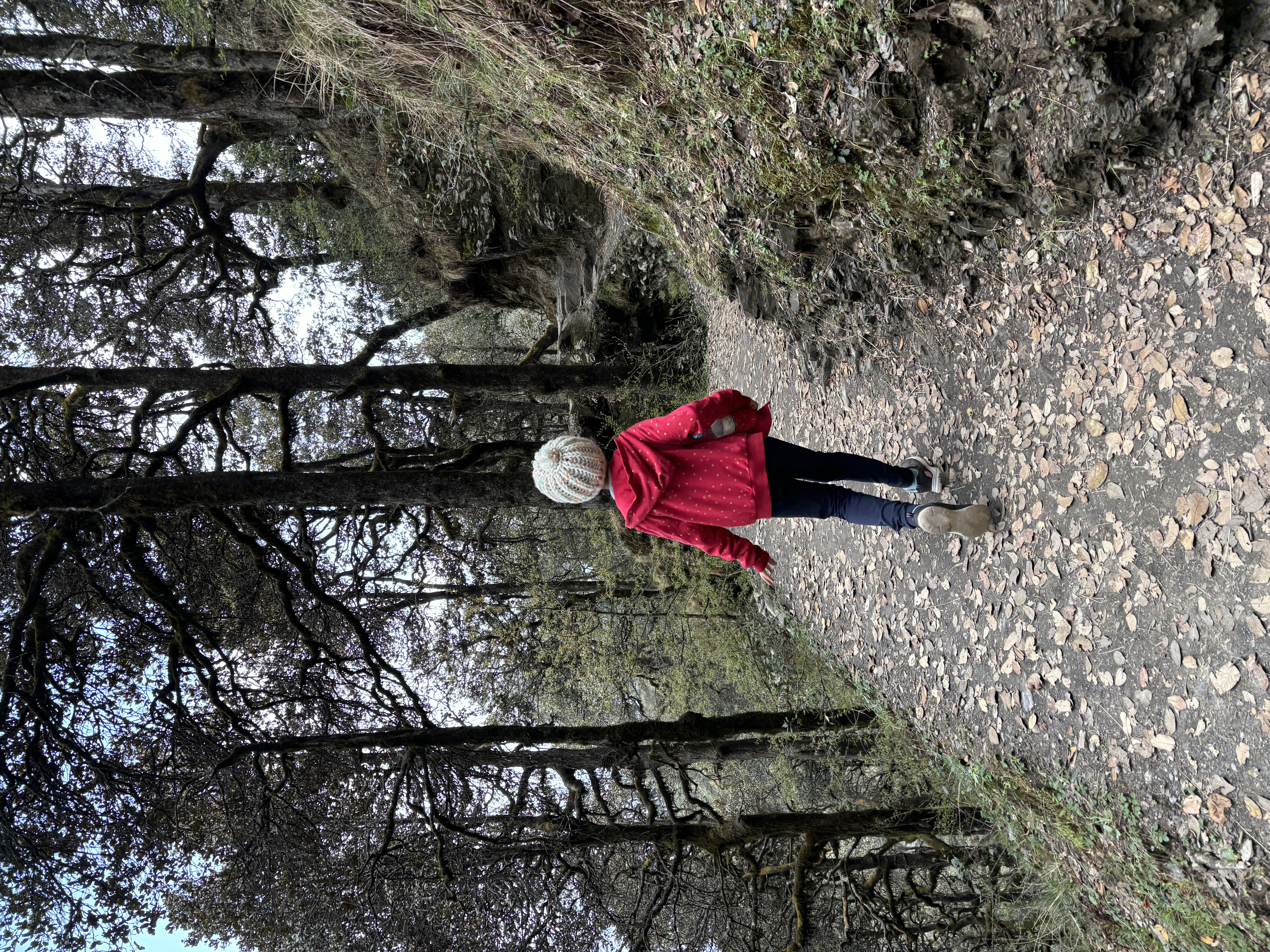 Returning back on our trek