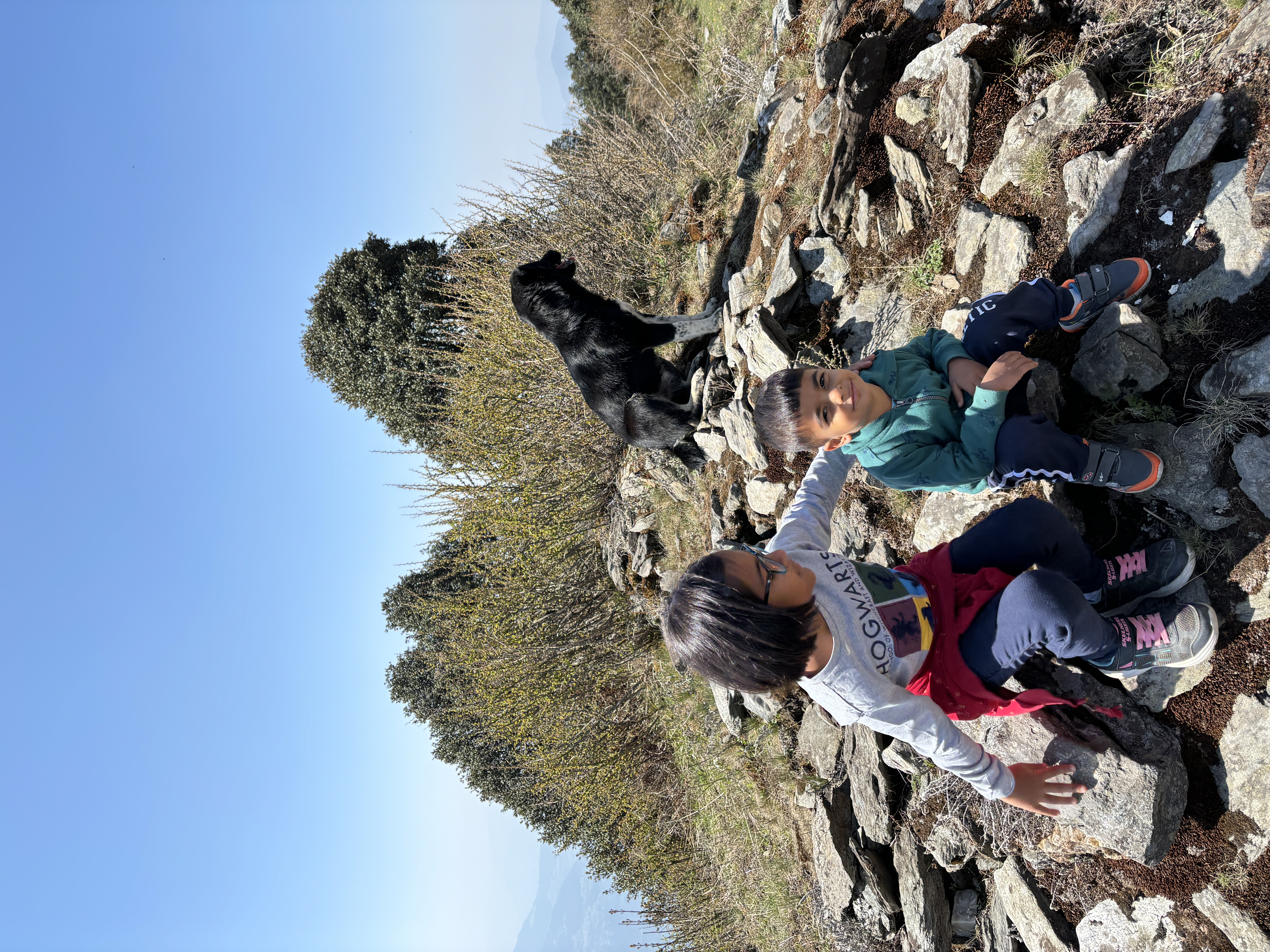 The photo on the himalayan viewpoint with the canine friend