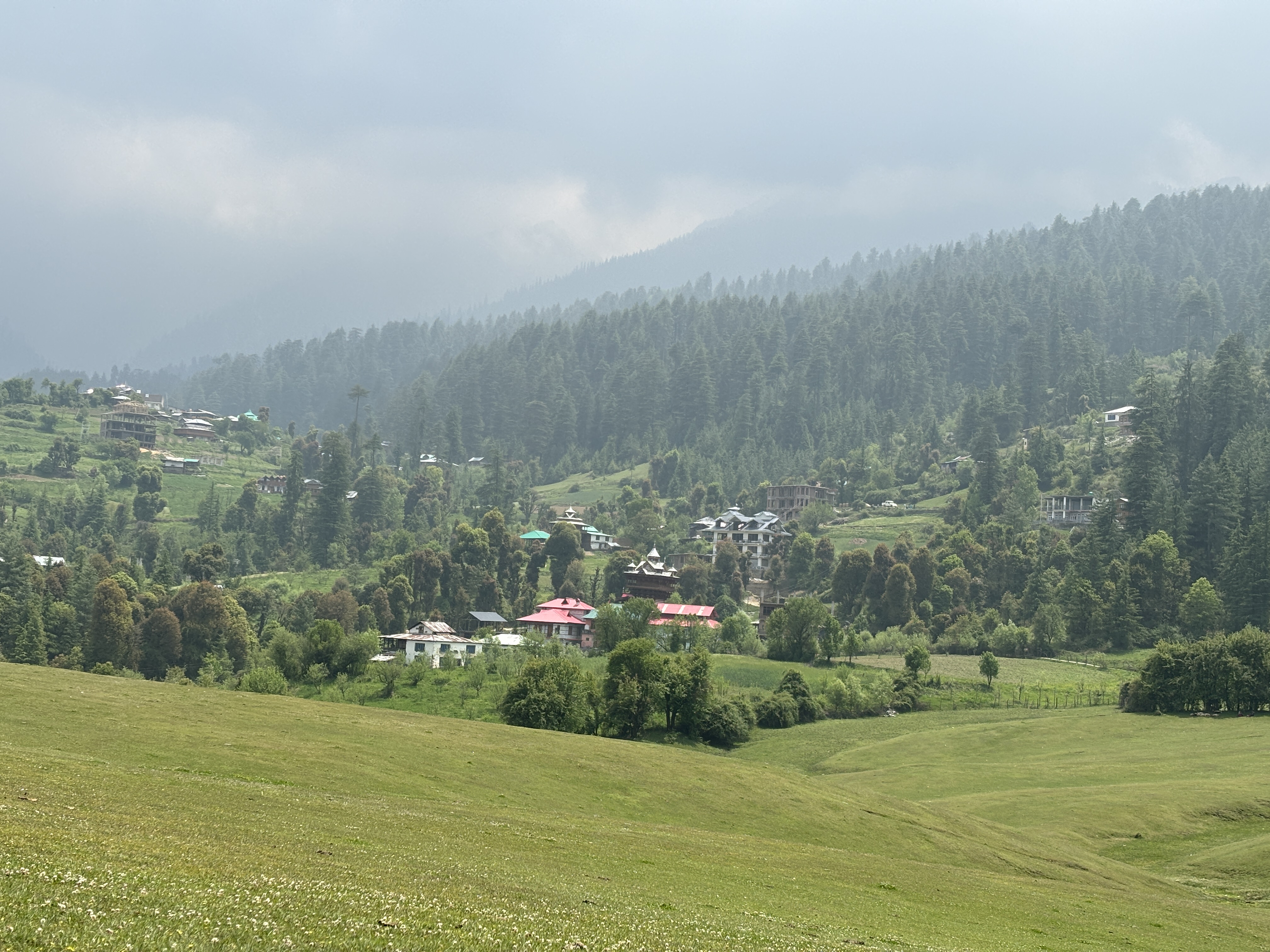 The views at Shangarh meadow