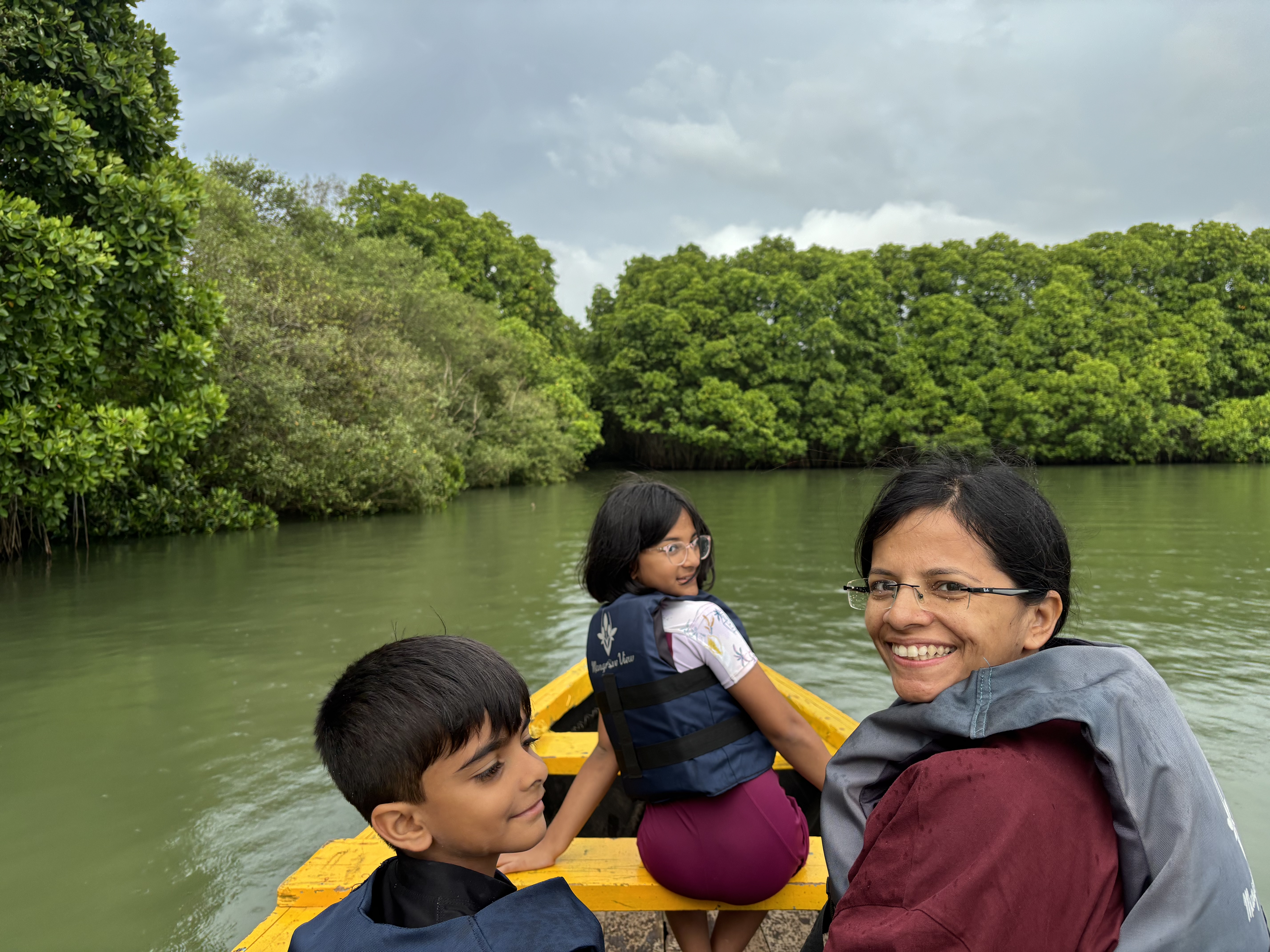 Gliding through the mangroves
