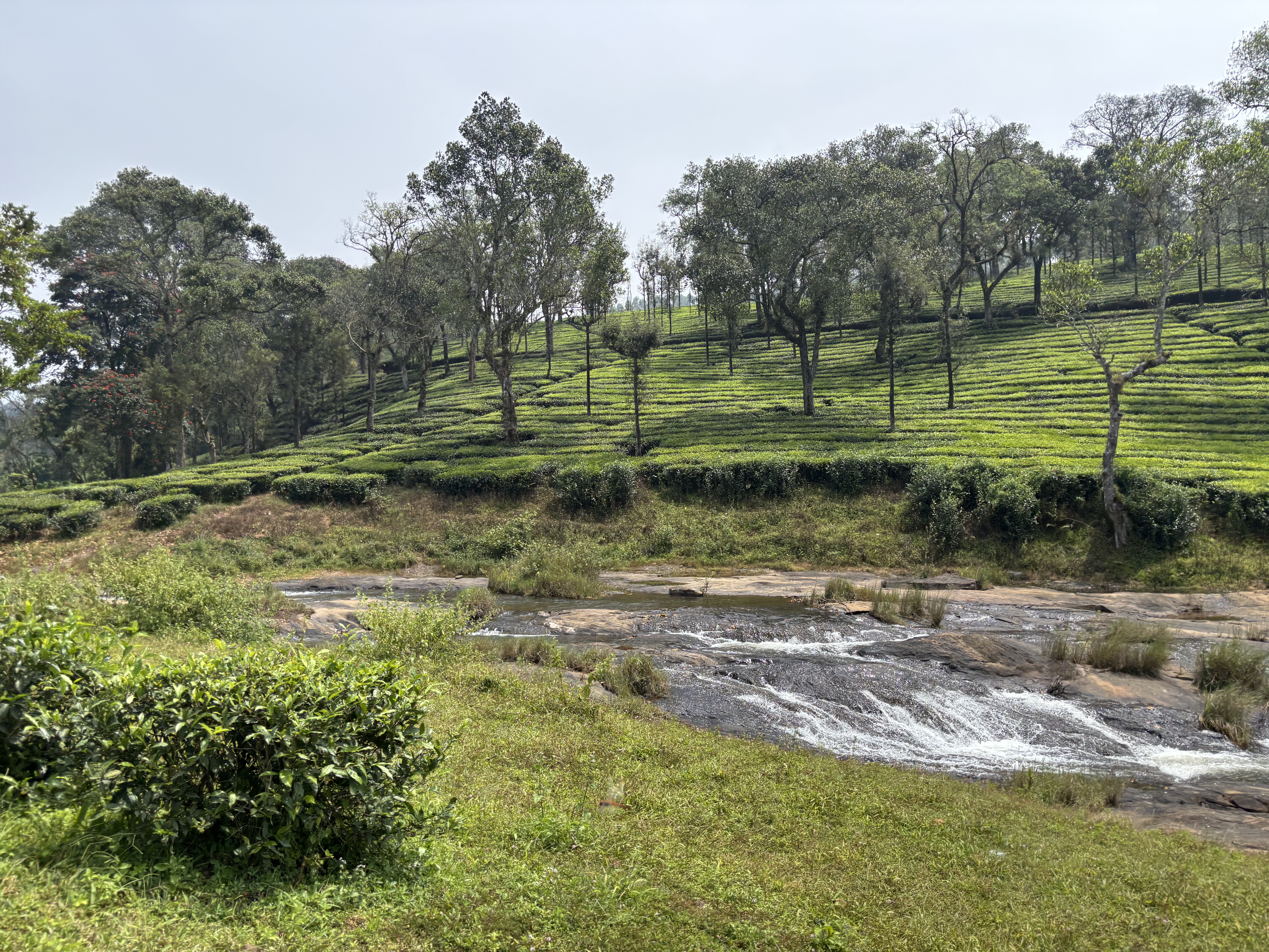 Stream