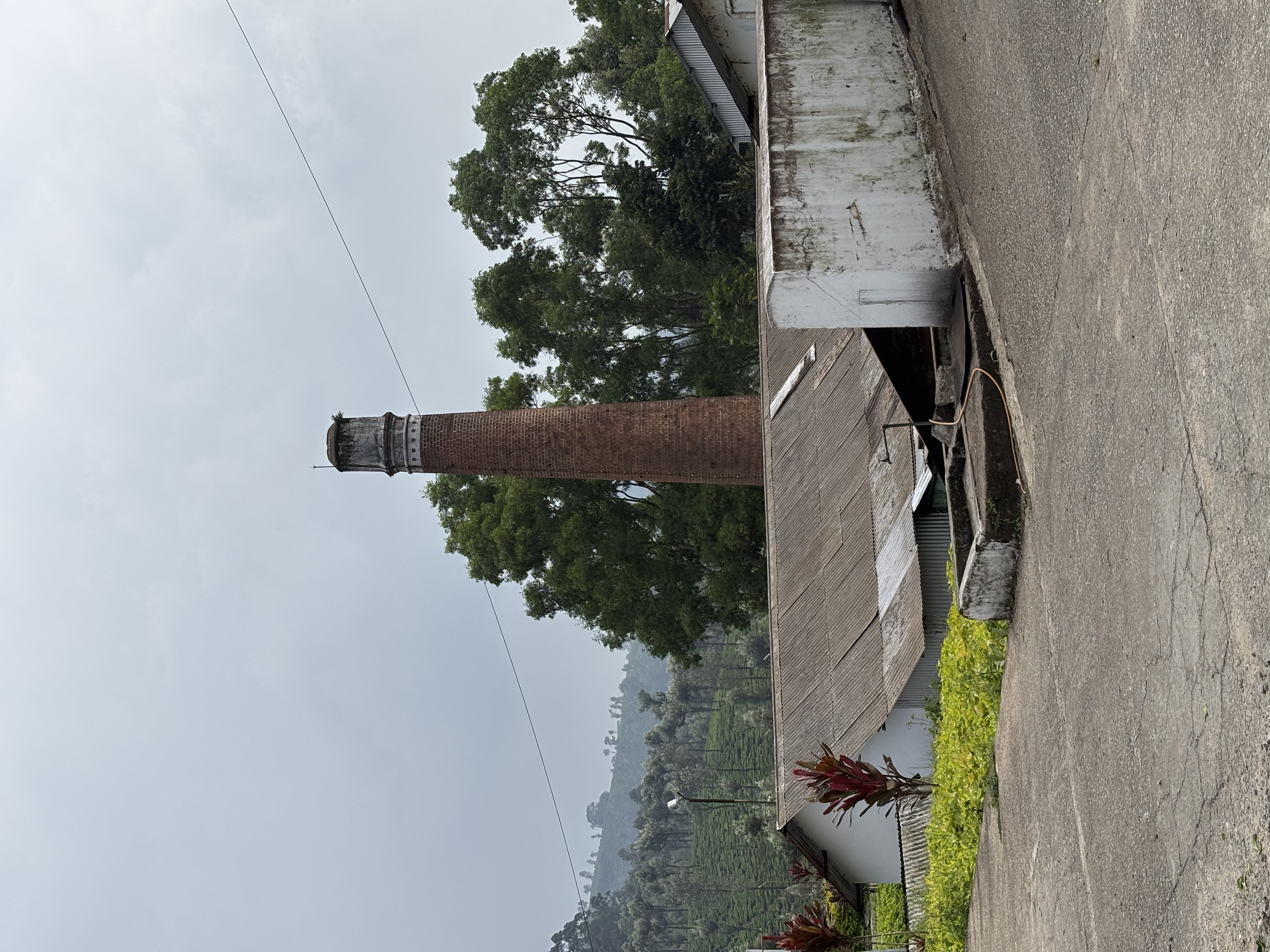 Tea factory