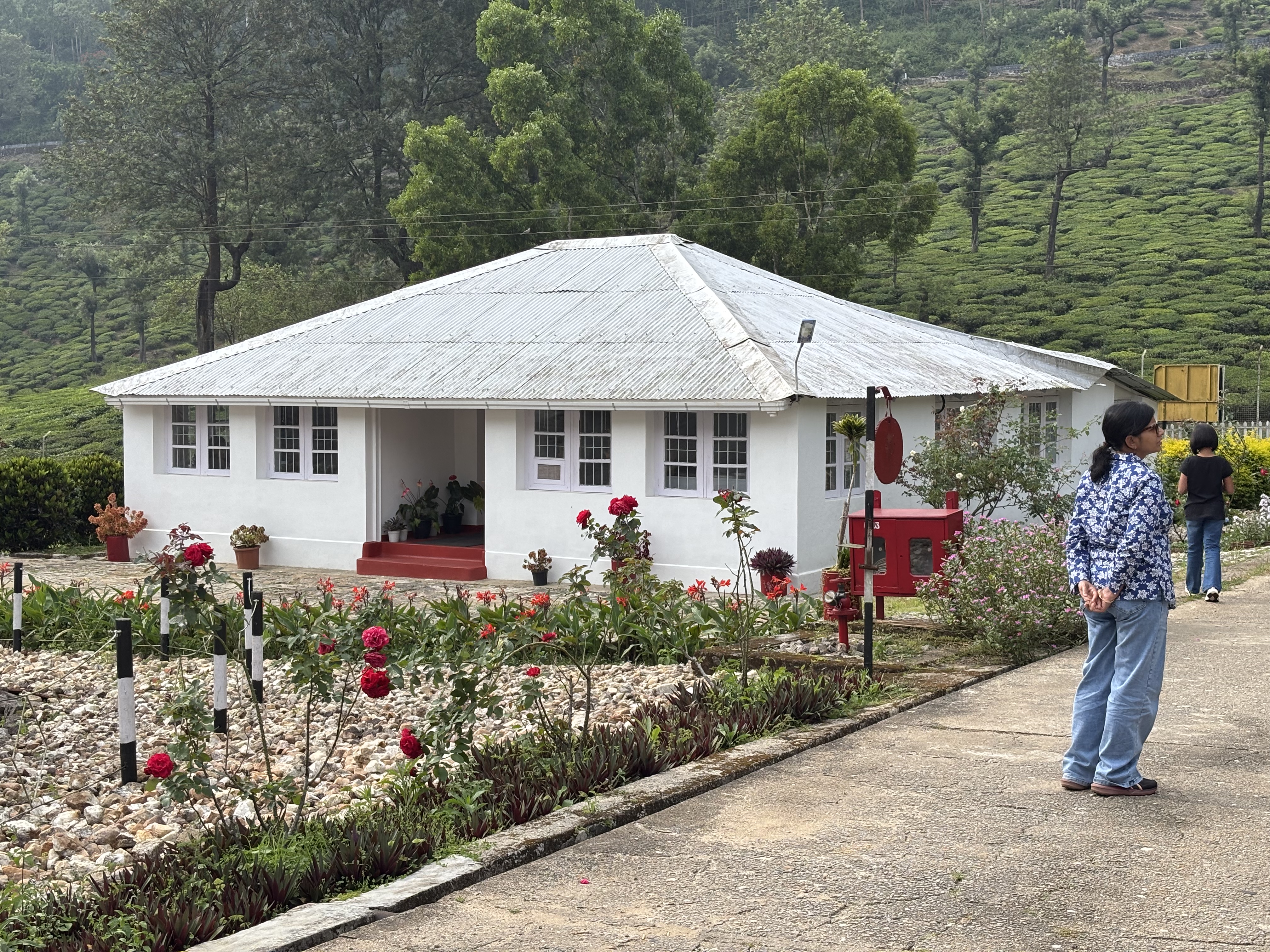 Tea factory2