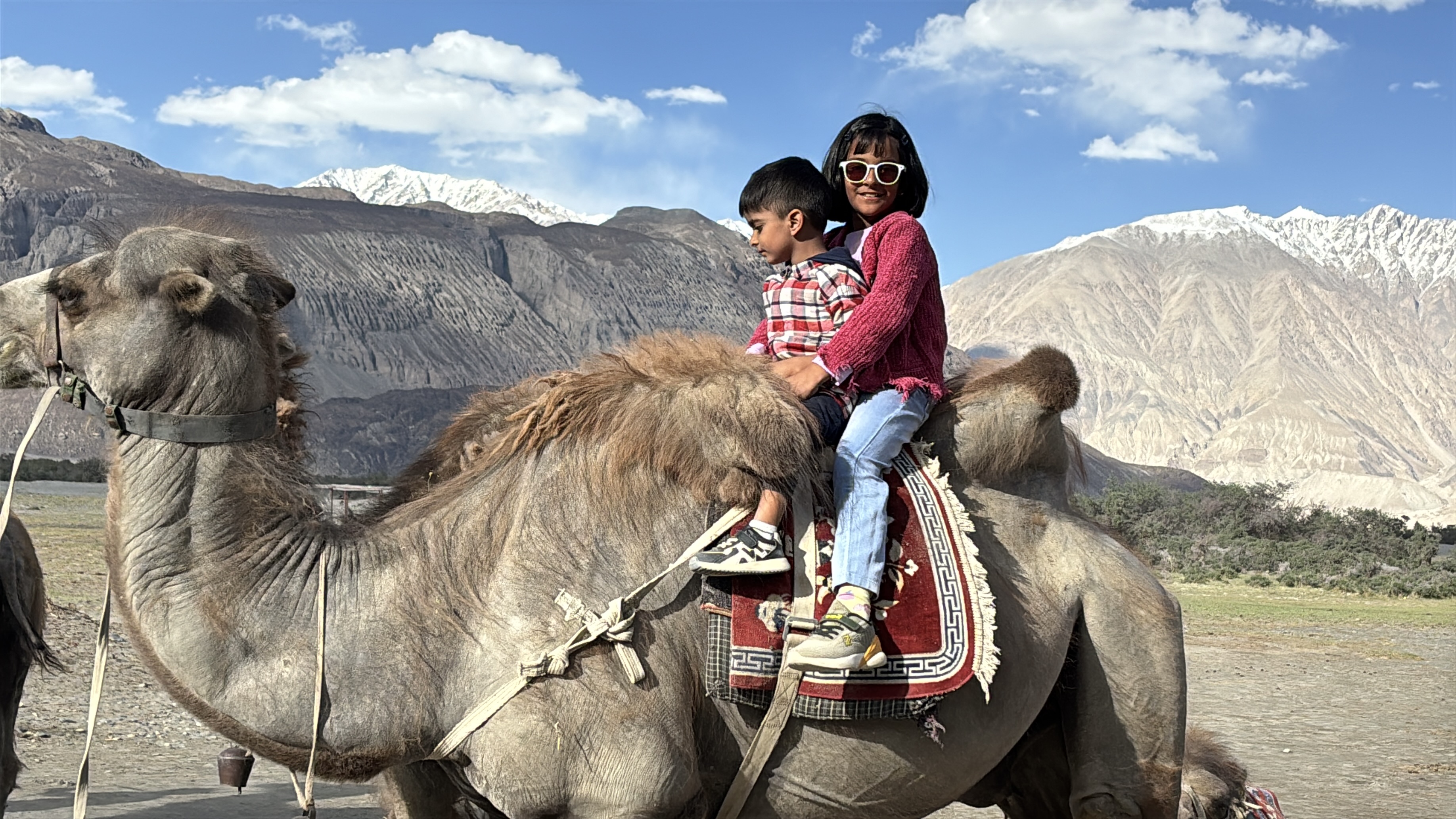 Riding the Bactrian camels