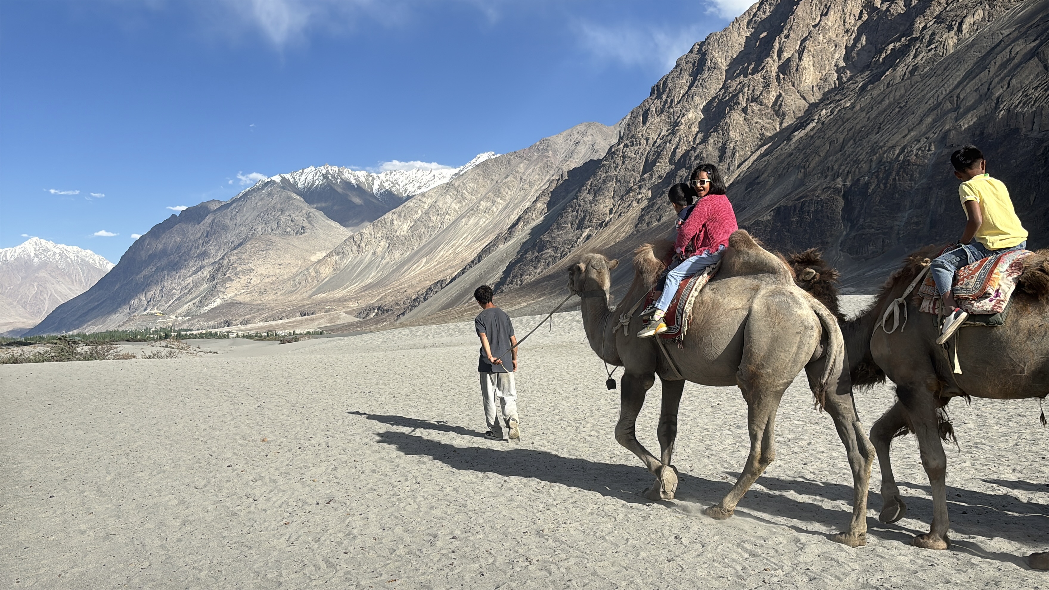 Bacrtian camel ride