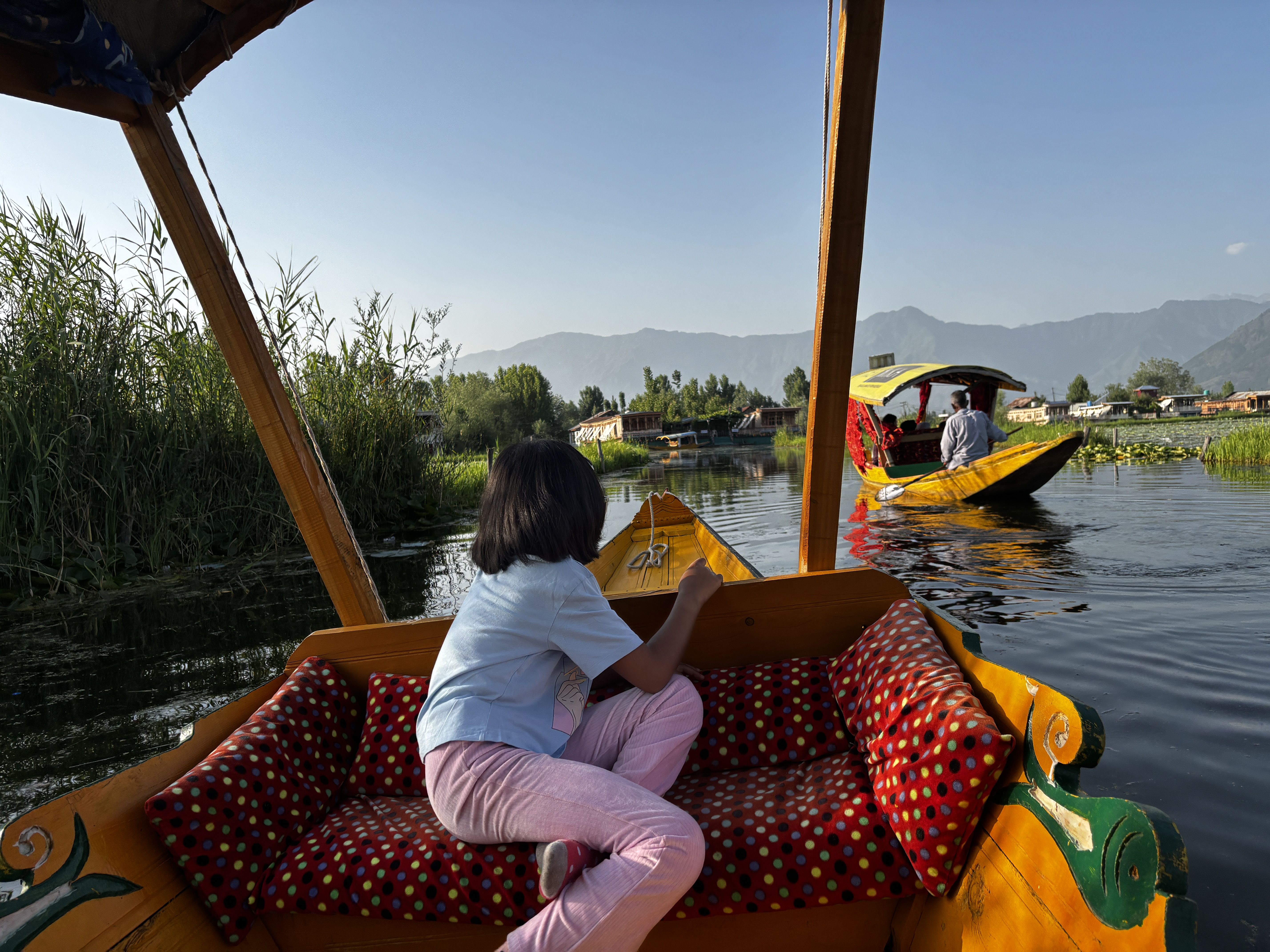 Traditional shikara boats on the serene waters of Dal Lake