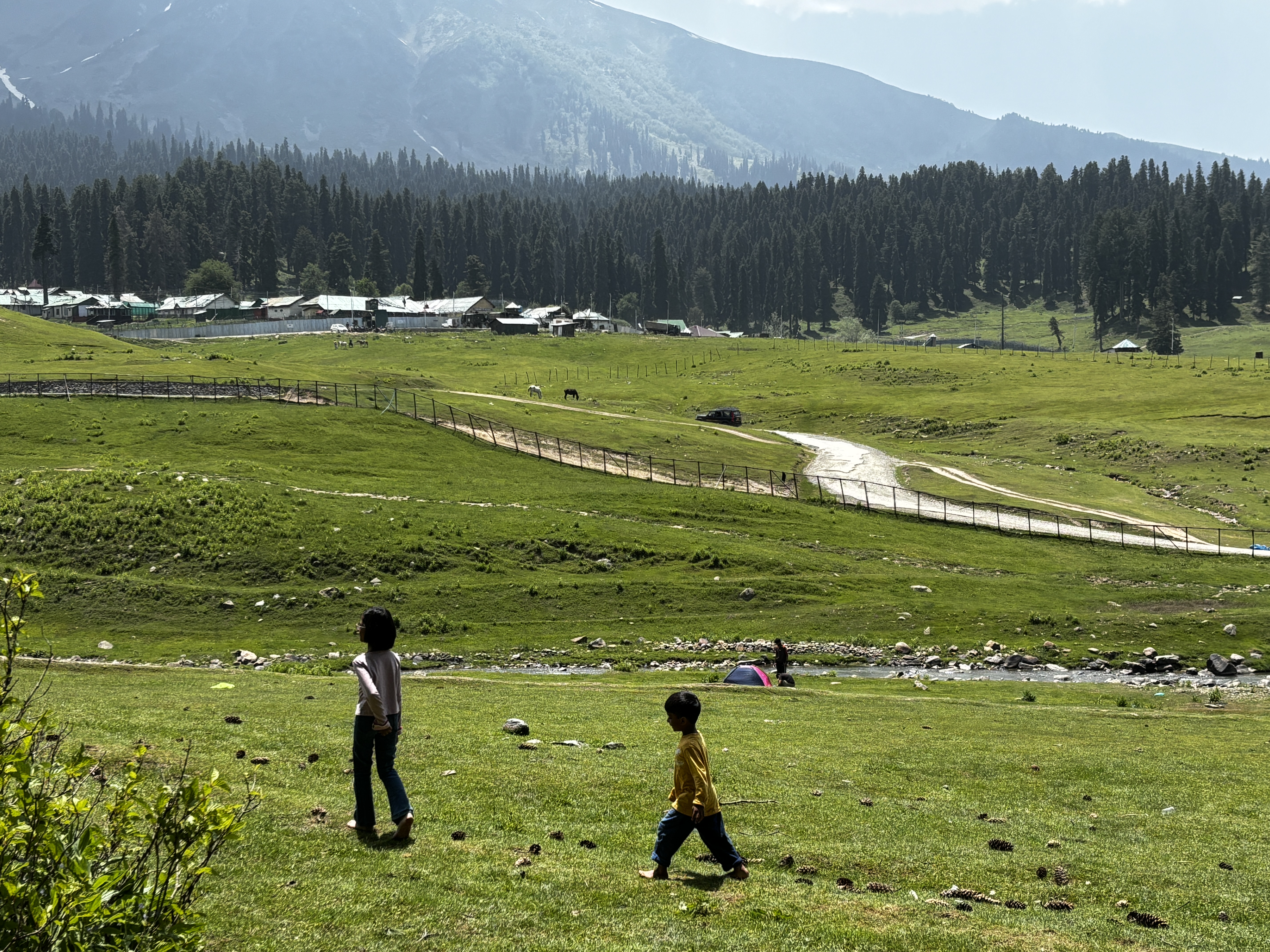 Exploring the scenic Valley of Strawberries near Gulmarg
