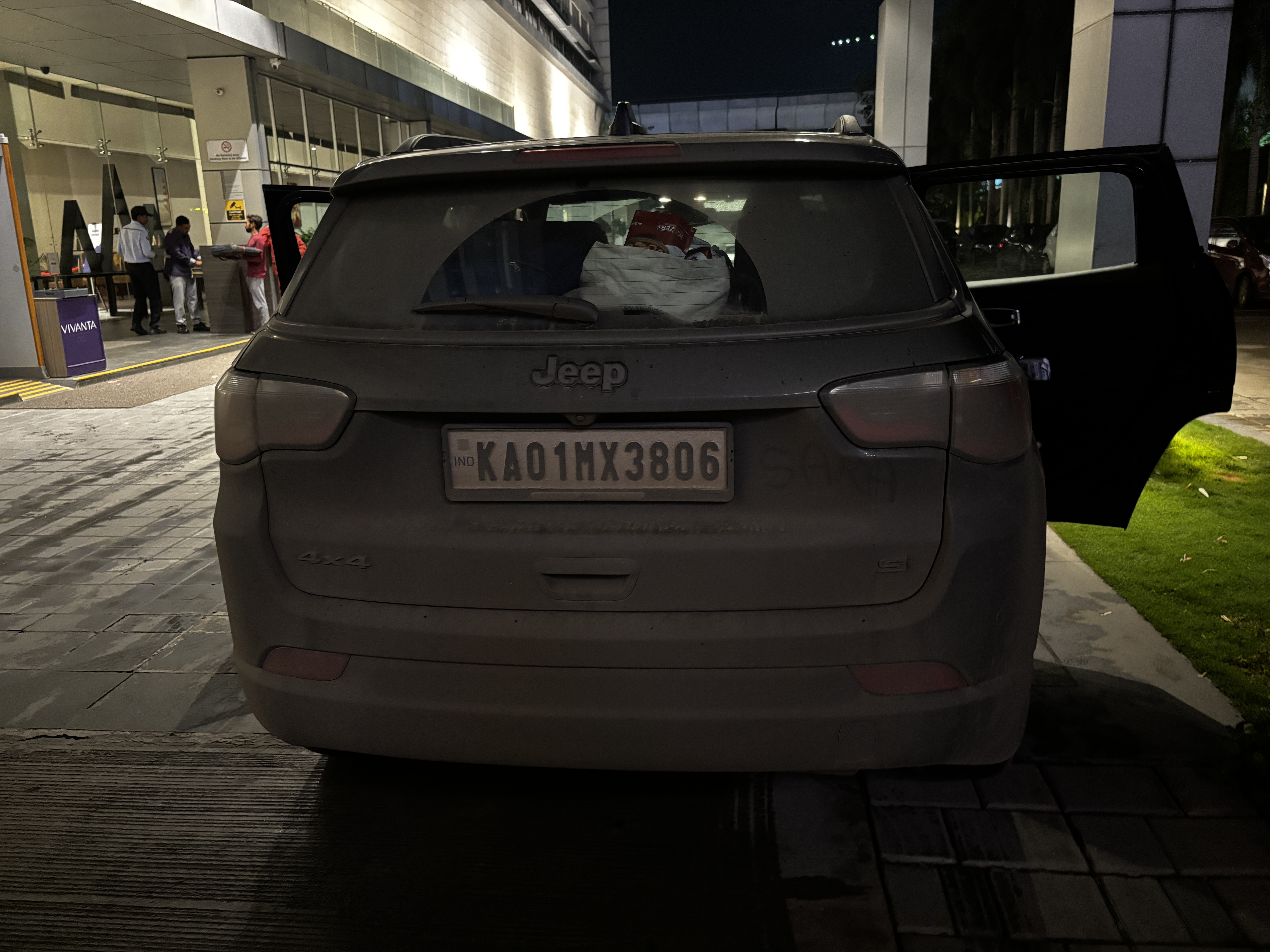 Car screaming for a cleaning session