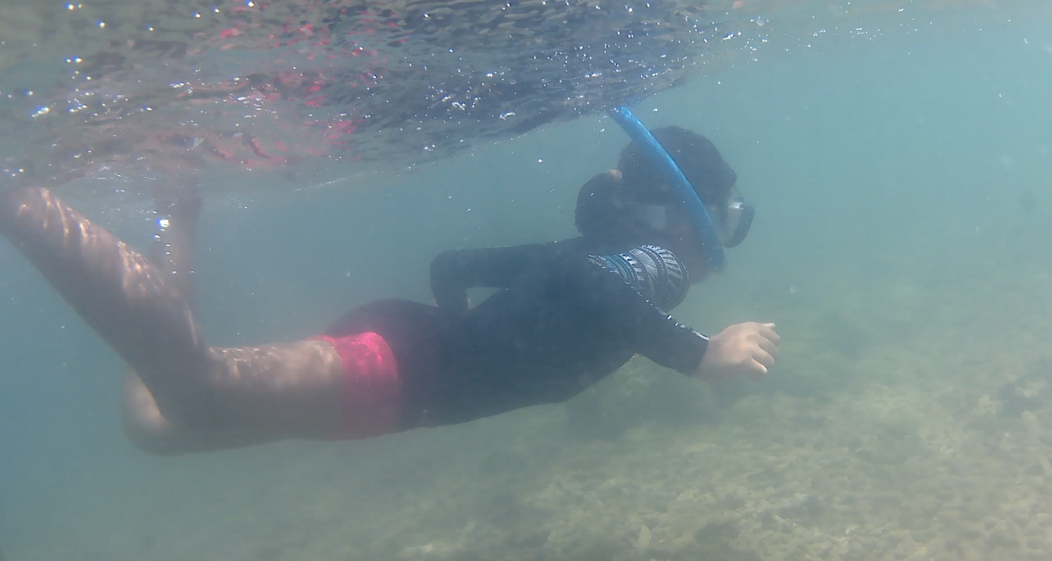Snorkling under water to see corals and sea creatures